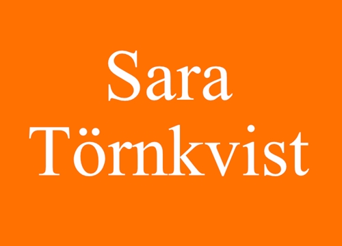 Casting och skådespelarworkshop med rollsättare Sara Törnkvist - Sara Törnkvist